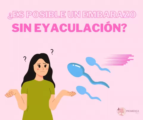 ¿Es posible un embarazo sin eyaculación?