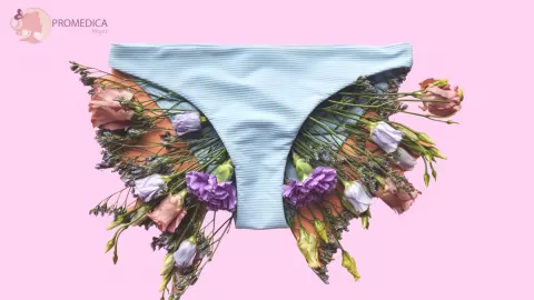 ¿Cómo puedo llegar al orgasmo?