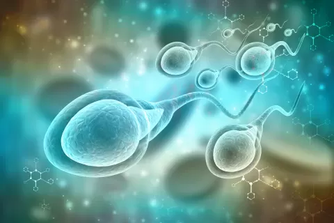 ¿Alergia al semen?