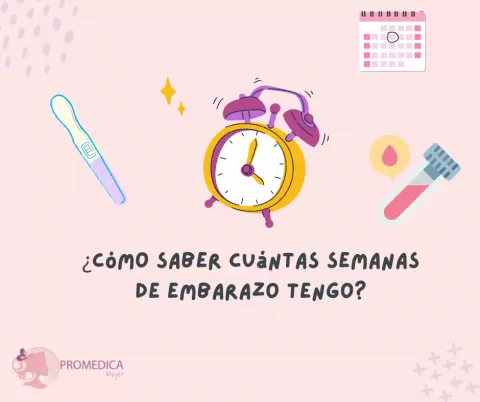 ¿Cómo saber cuántas semanas de embarazo tengo?