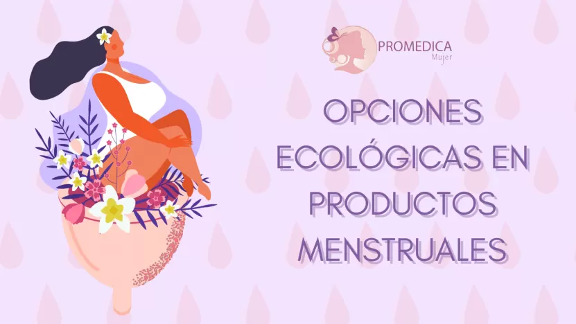 Foto de Alternativas ecológicas a las toallas y tampones desechables 
