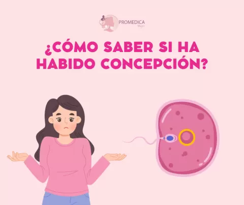 ¿Cómo saber si ha habido concepción?